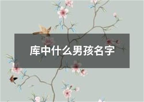 库中什么男孩名字