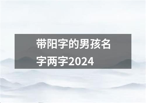 带阳字的男孩名字两字2024