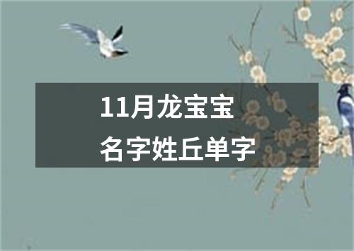 11月龙宝宝名字姓丘单字