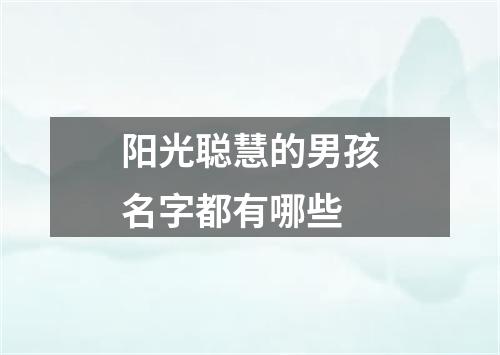 阳光聪慧的男孩名字都有哪些