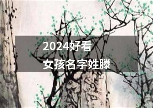 2024好看女孩名字姓滕