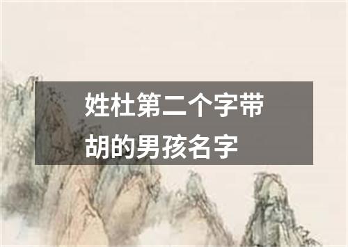 姓杜第二个字带胡的男孩名字