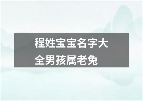 程姓宝宝名字大全男孩属老兔