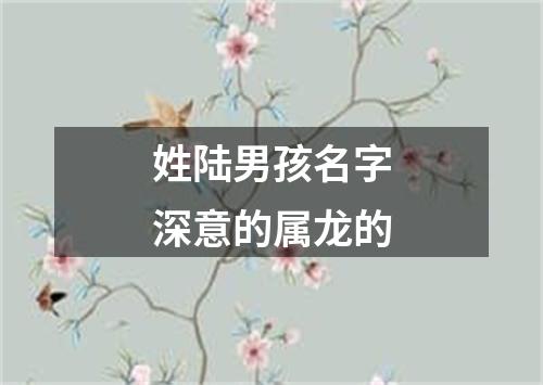 姓陆男孩名字深意的属龙的