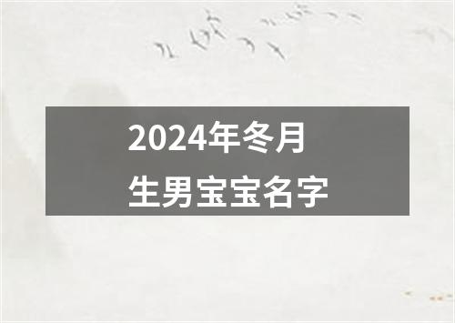 2024年冬月生男宝宝名字