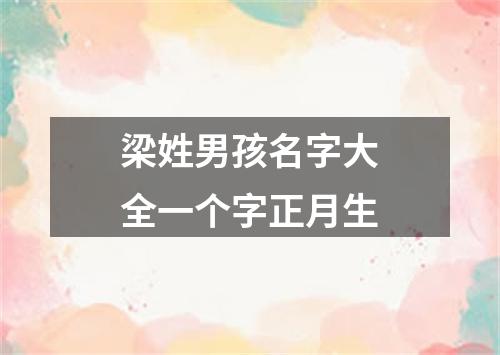 梁姓男孩名字大全一个字正月生