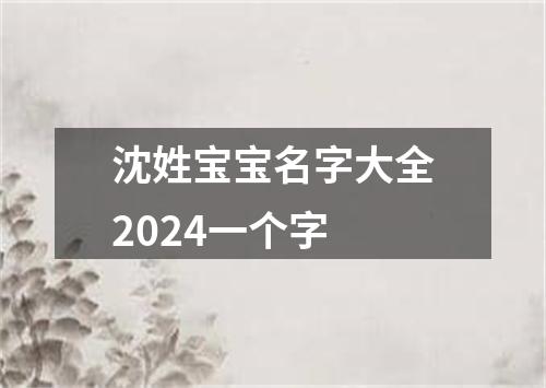 沈姓宝宝名字大全2024一个字