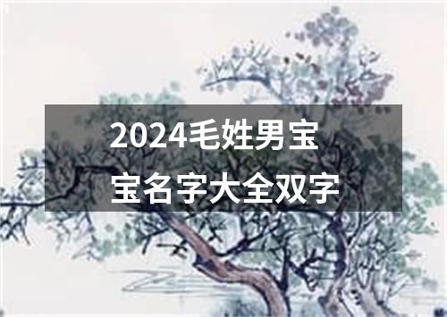 2024毛姓男宝宝名字大全双字