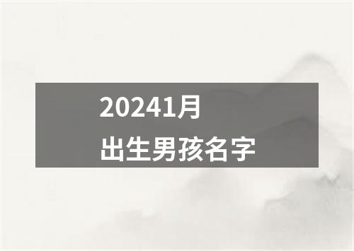 20241月出生男孩名字