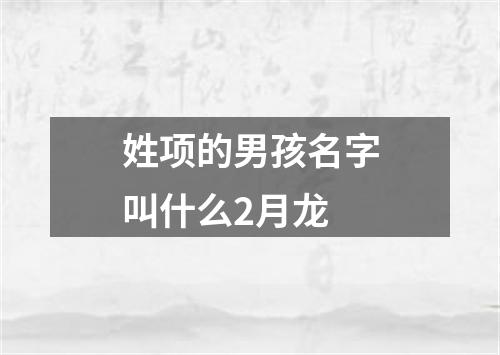 姓项的男孩名字叫什么2月龙