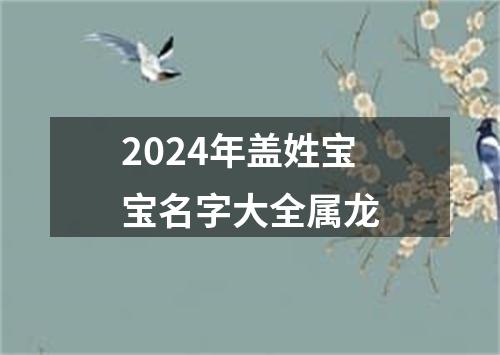 2024年盖姓宝宝名字大全属龙