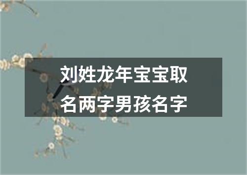 刘姓龙年宝宝取名两字男孩名字