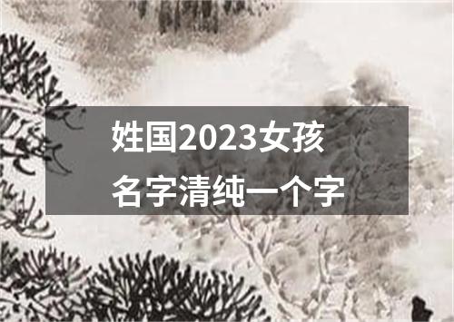 姓国2023女孩名字清纯一个字