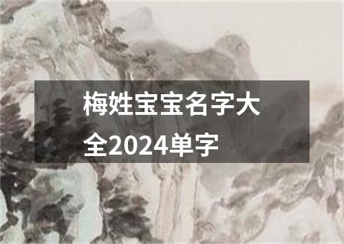 梅姓宝宝名字大全2024单字