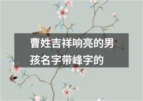 曹姓吉祥响亮的男孩名字带峰字的