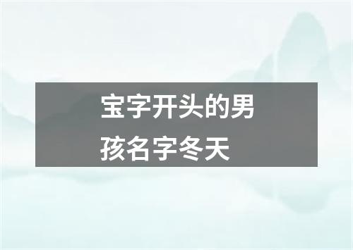 宝字开头的男孩名字冬天