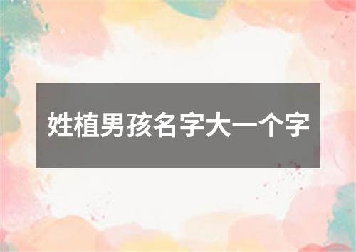 姓植男孩名字大一个字