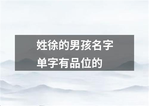 姓徐的男孩名字单字有品位的