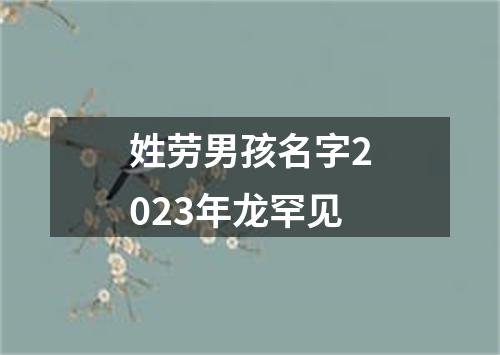 姓劳男孩名字2023年龙罕见