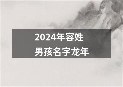 2024年容姓男孩名字龙年