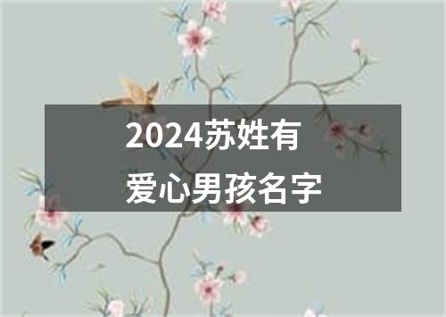 2024苏姓有爱心男孩名字