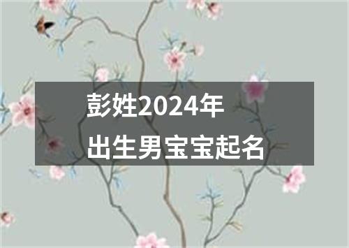 彭姓2024年出生男宝宝起名