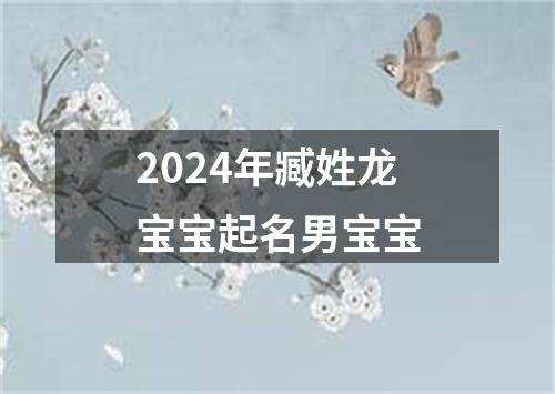 2024年臧姓龙宝宝起名男宝宝