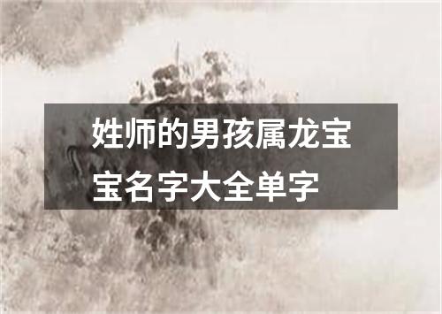 姓师的男孩属龙宝宝名字大全单字