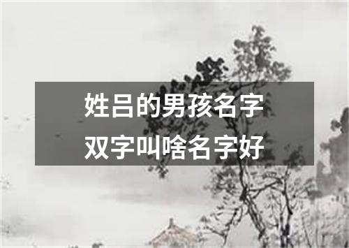 姓吕的男孩名字双字叫啥名字好