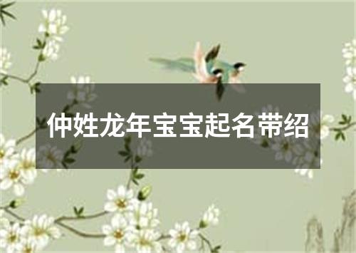 仲姓龙年宝宝起名带绍