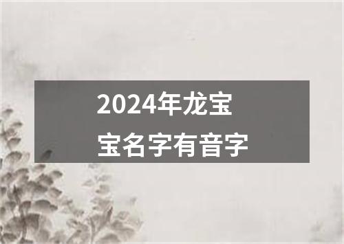 2024年龙宝宝名字有音字