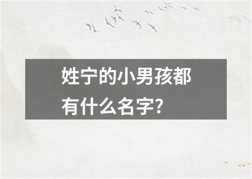 姓宁的小男孩都有什么名字?