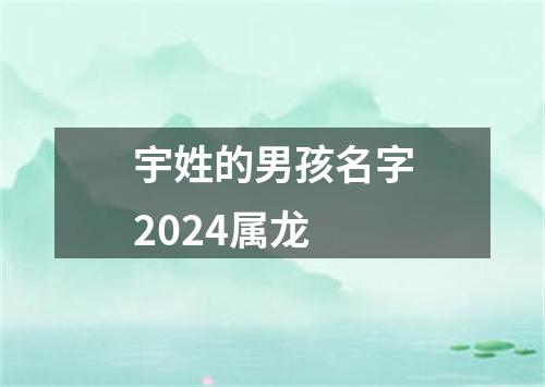 宇姓的男孩名字2024属龙