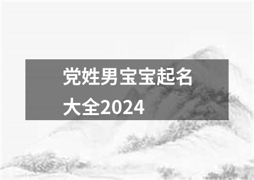 党姓男宝宝起名大全2024