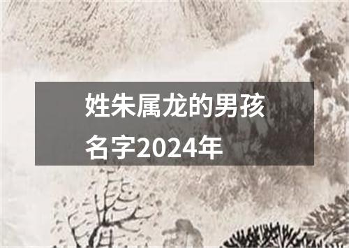 姓朱属龙的男孩名字2024年