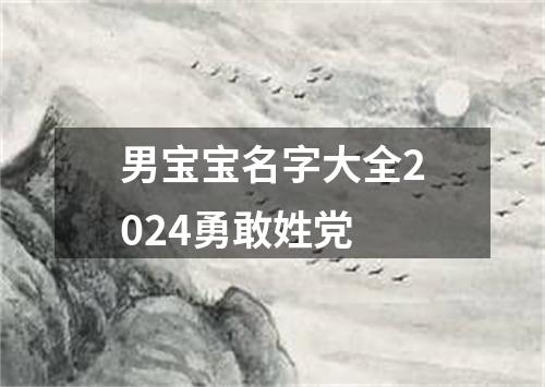 男宝宝名字大全2024勇敢姓党