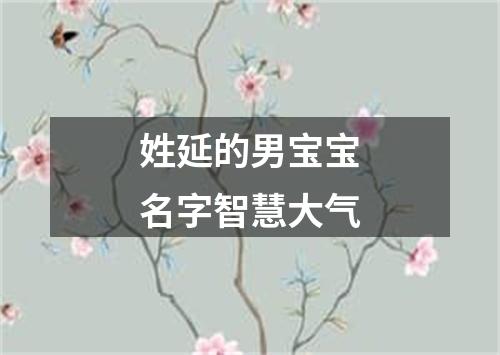 姓延的男宝宝名字智慧大气