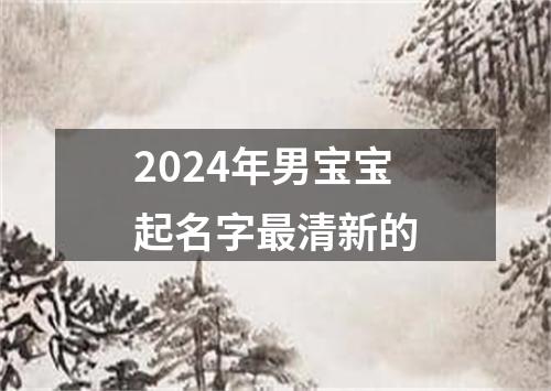 2024年男宝宝起名字最清新的