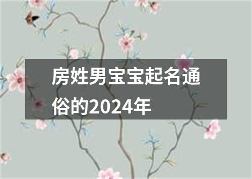 房姓男宝宝起名通俗的2024年