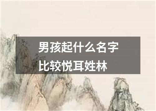 男孩起什么名字比较悦耳姓林