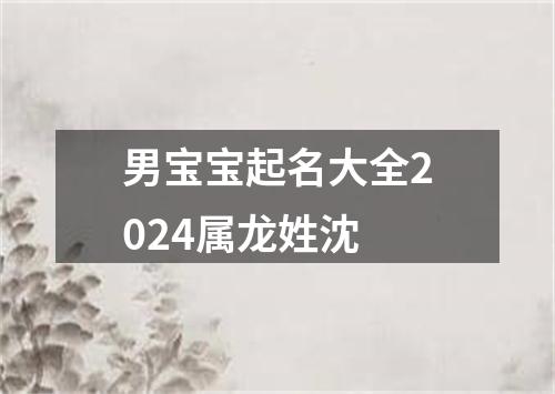 男宝宝起名大全2024属龙姓沈