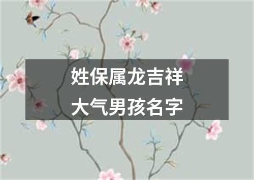 姓保属龙吉祥大气男孩名字