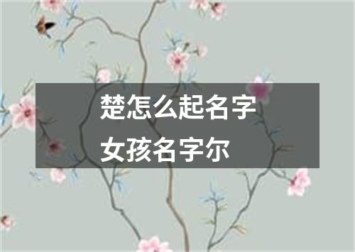 楚怎么起名字女孩名字尔