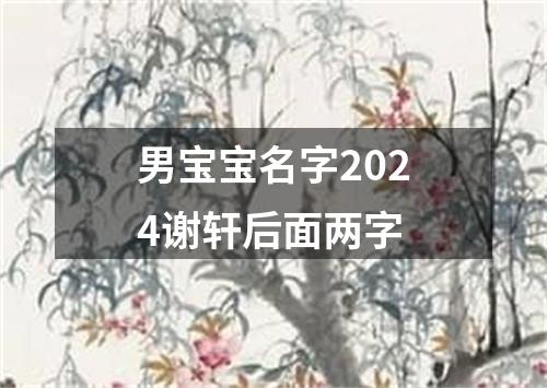 男宝宝名字2024谢轩后面两字