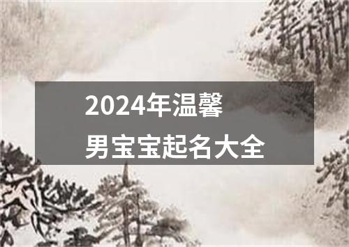 2024年温馨男宝宝起名大全