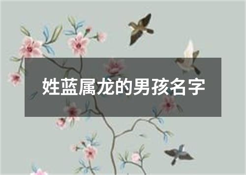 姓蓝属龙的男孩名字