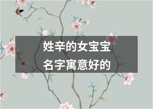 姓辛的女宝宝名字寓意好的