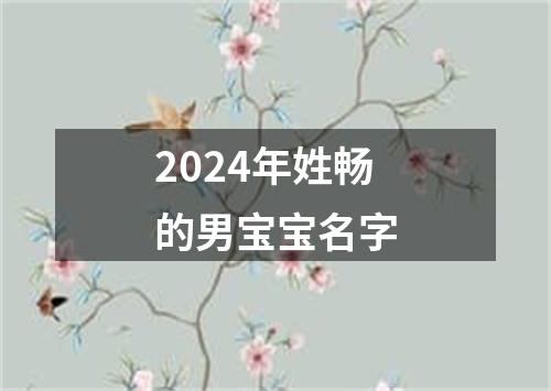 2024年姓畅的男宝宝名字