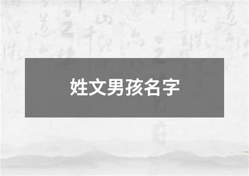 姓文男孩名字