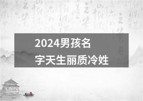 2024男孩名字天生丽质冷姓